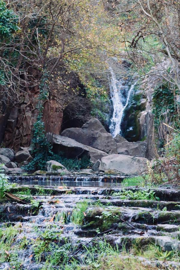 Ancos Little House -Sintra Countryside- Villa Montelavar Dış mekan fotoğraf